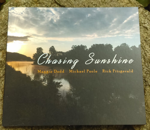 Chasing Sunshine Cover Photo